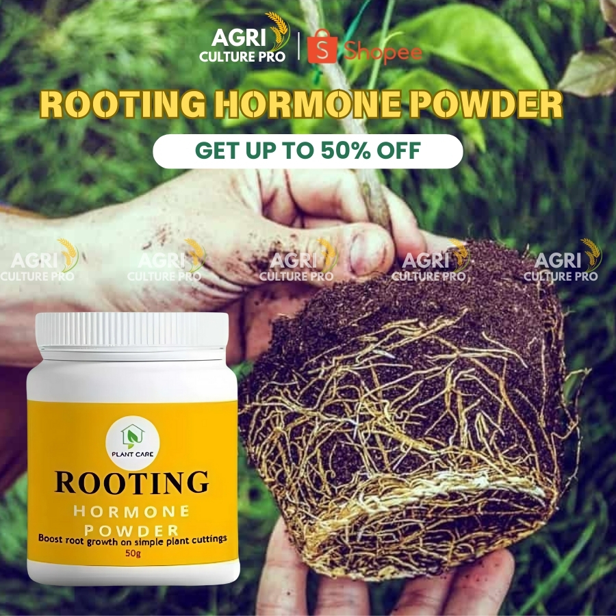 Super strong Rooting Hormone for cuttings 50G | Stimulates fast rooting ...
