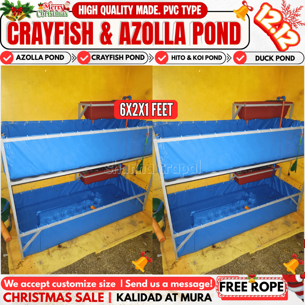 6X2X1FT CRAYFISH TANK FISH POND (PVC TYPE) FISH TANK/AZOLLA POND BED ...