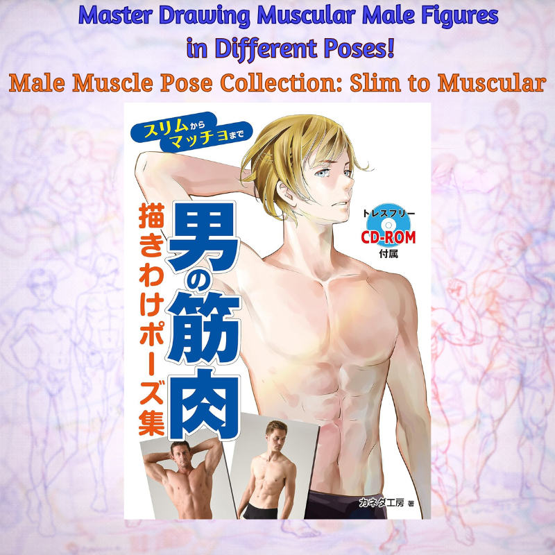 MuscleForm Male Body Pose Reference Book from Slim Build to Muscular ...