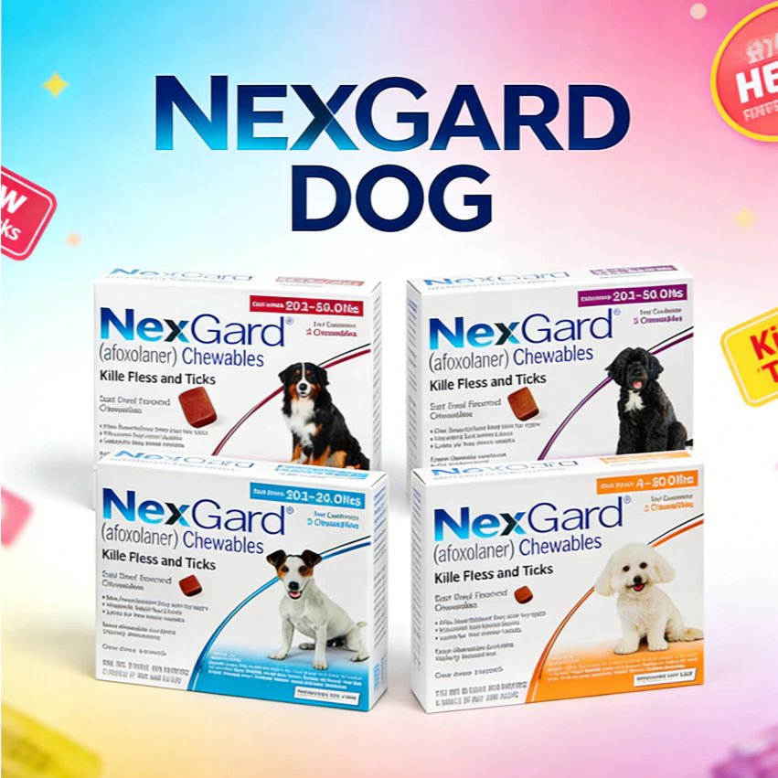 Nexgard for Dogs Anti Tick and Flea Chewable for Dogs with Sticker Sold ...