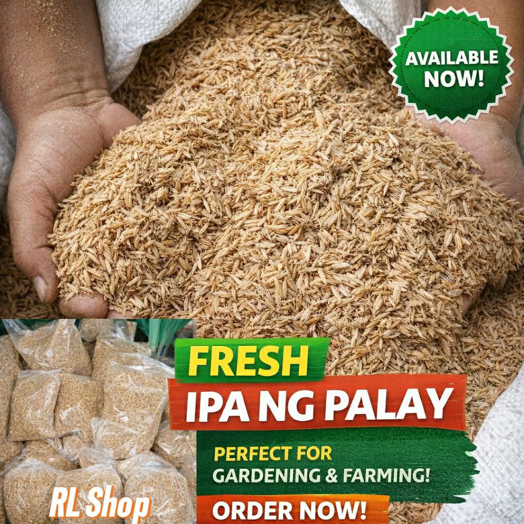 Shop rice hull for Sale on Shopee Philippines