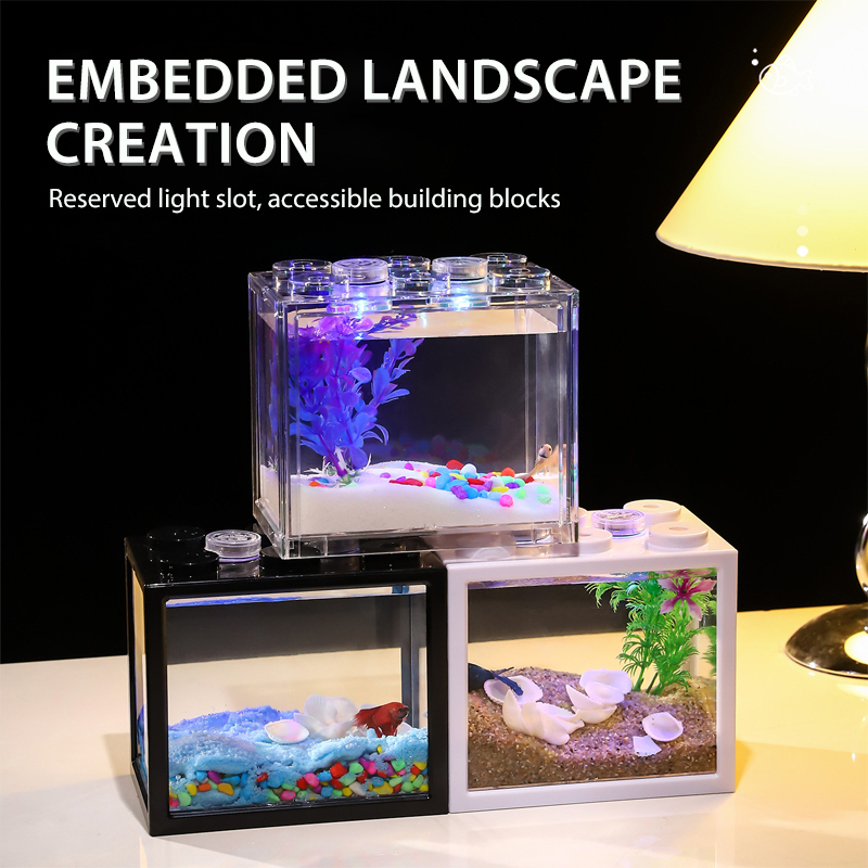 Shop betta fish for Sale on Shopee Philippines