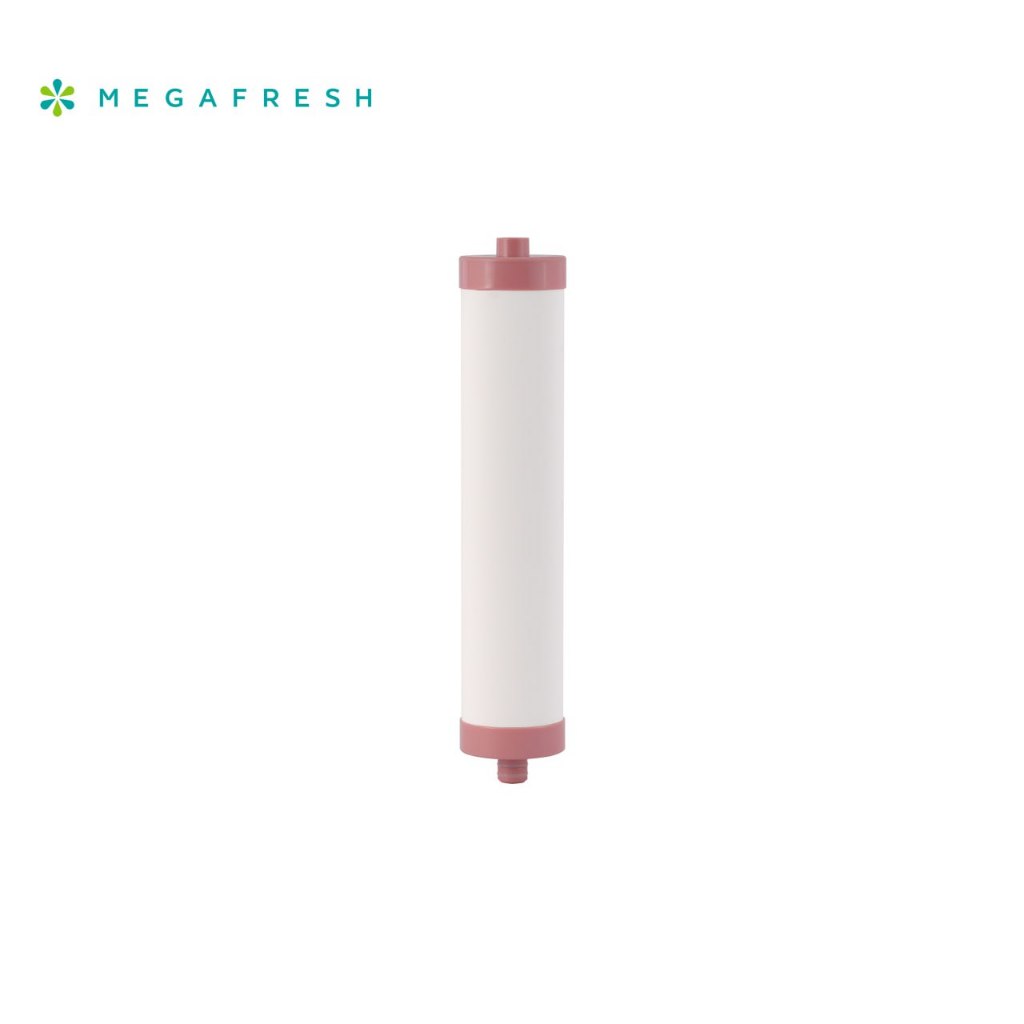 Megafresh Healthy+ Ceramic Cartridge - Water Filter | Shopee Philippines