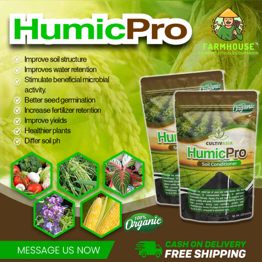 [Authentic] Humic Pro 100g - Organic NPK and Foliar Fertilizer for ...