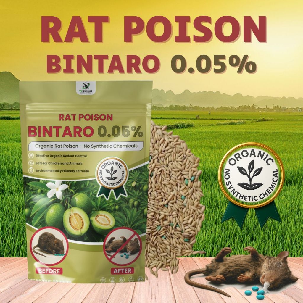 Rat Killer Poison Ubat Tikus Bintaro 0.05% Rice Grain Rodent Bait 50g ...