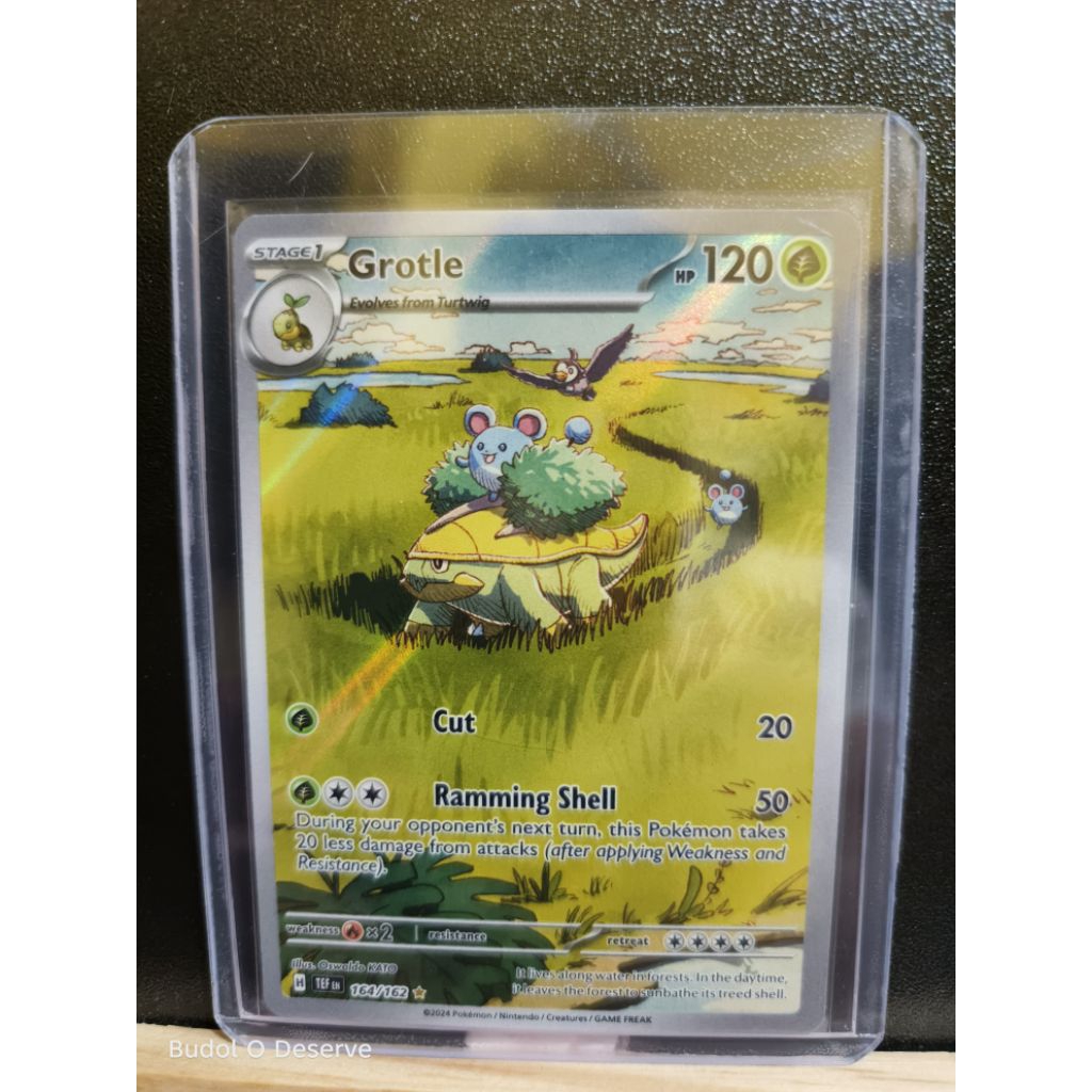 Pokemon TCG: Grotle - 164/162 - SV05: Temporal Forces (TEF) | Shopee ...