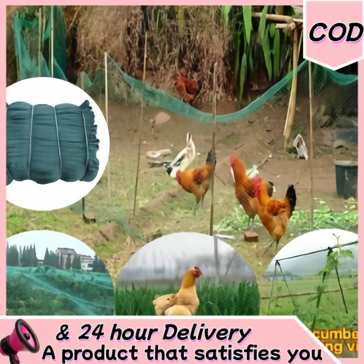 Chicken Net Fence Green Net Free Range Chicken Net Construction net ...
