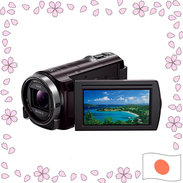 Sony Handycam HDR-CX430V Digital HD Camcorder 32GB Internal Memory