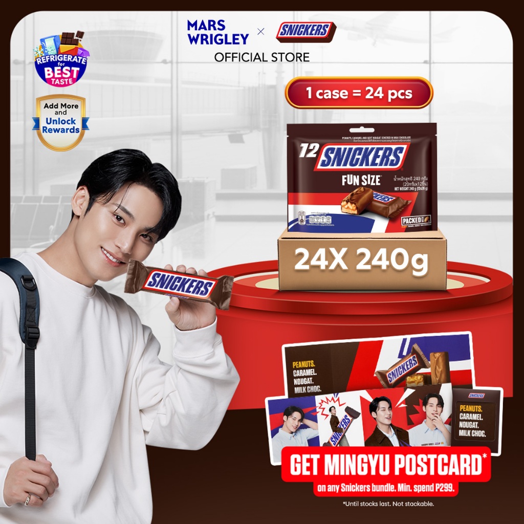 SNICKERS Classic Chocolate Bar Funsize 240g [Bundle of 24] | Imported ...
