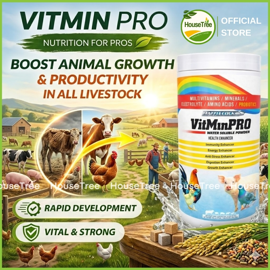 Shop vitmin pro for Sale on Shopee Philippines