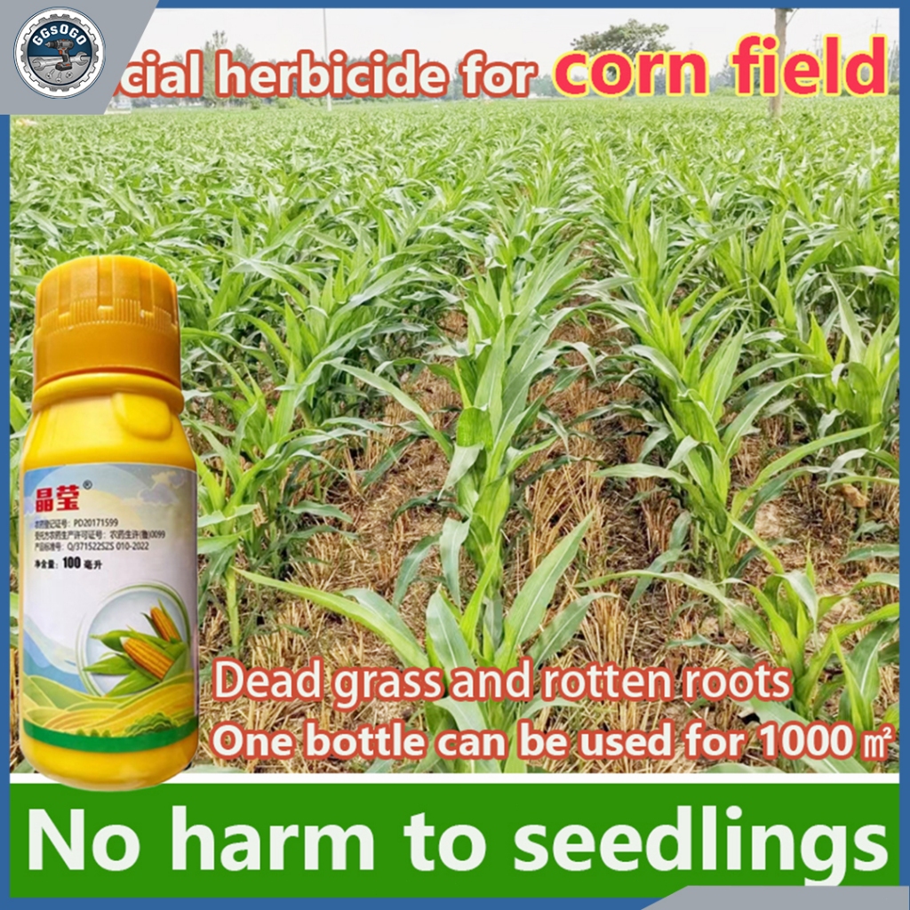 Weeding for Corn Fields Corn Herbicide No Harm to Seedlings Universal ...