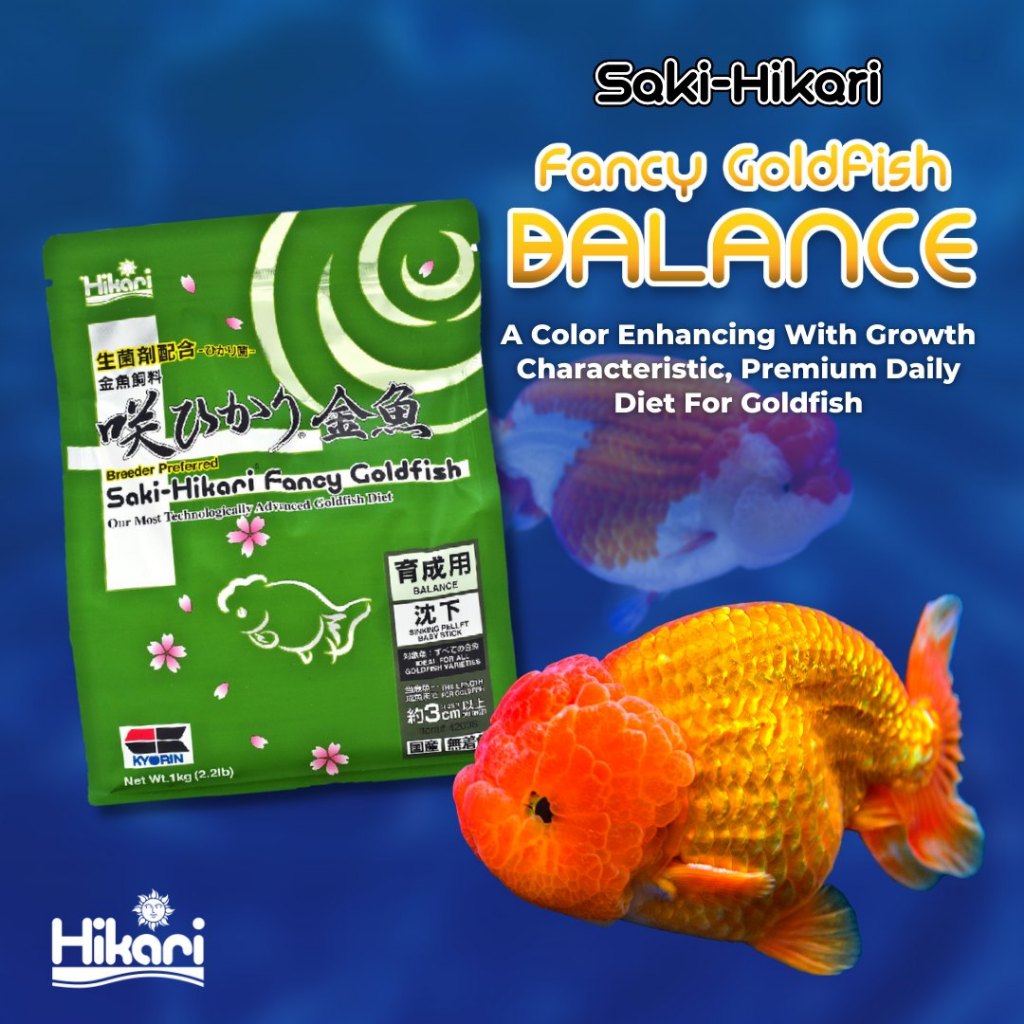 Saki-Hikari Fancy Goldfish Balance (Color Enhancing and Balance Diet ...
