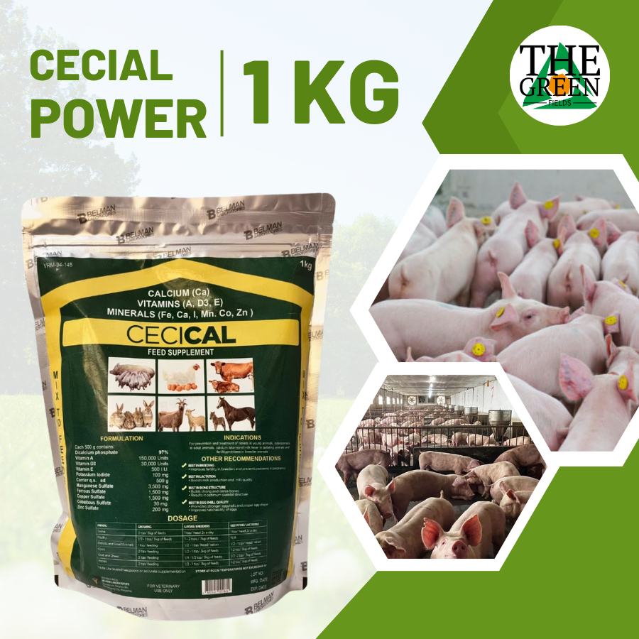 Curated visual reference: Visual Reference: Cecical Powder 1Kg Calcium Mineral Feed Supplement