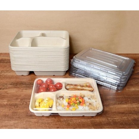 3&4 Compartment Paper bento box with clear Lids, Food-Tray-Style ...