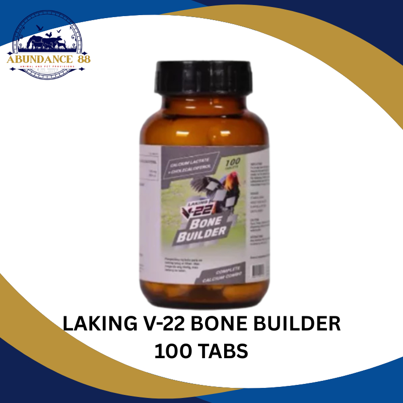 LAKING V-22 BONE BUILDER TABLET (100 TABLETS) - 1 BOTTLE | Shopee ...