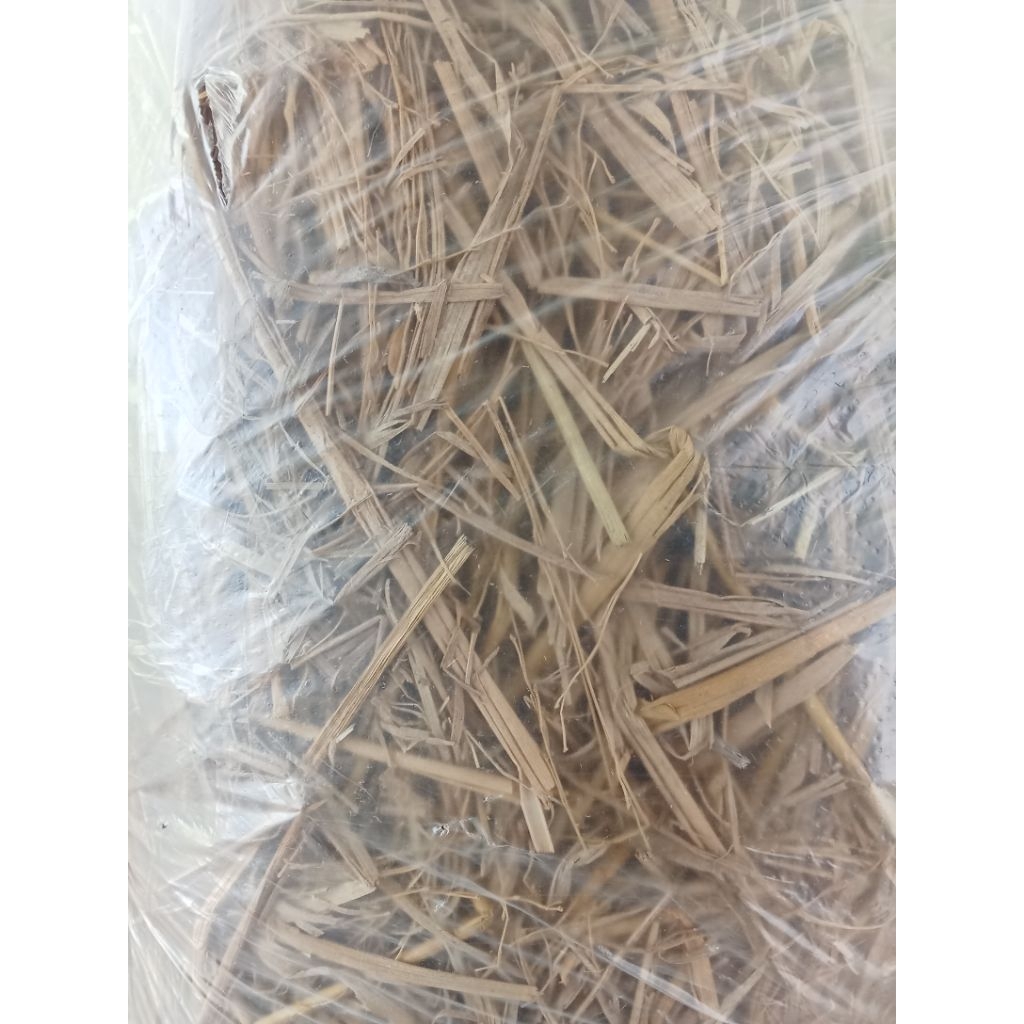 Shop dayami for Sale on Shopee Philippines