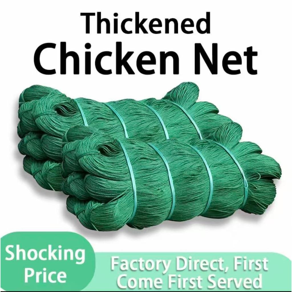 FREE ROPE Chicken Net 50m＆100meters 8ft Fishing Net Range Net Lambat ...