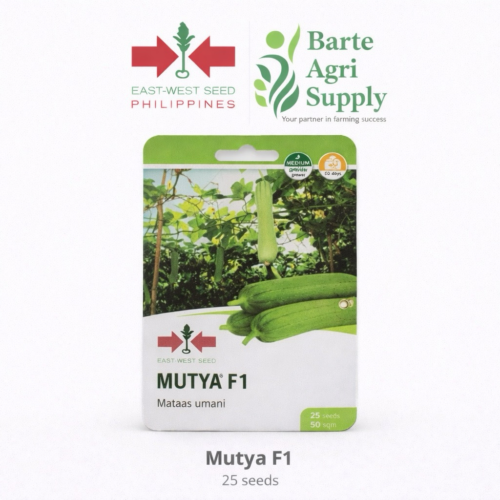 Mutya F1/ Patola / Small pouch ( 25seeds ) | Shopee Philippines