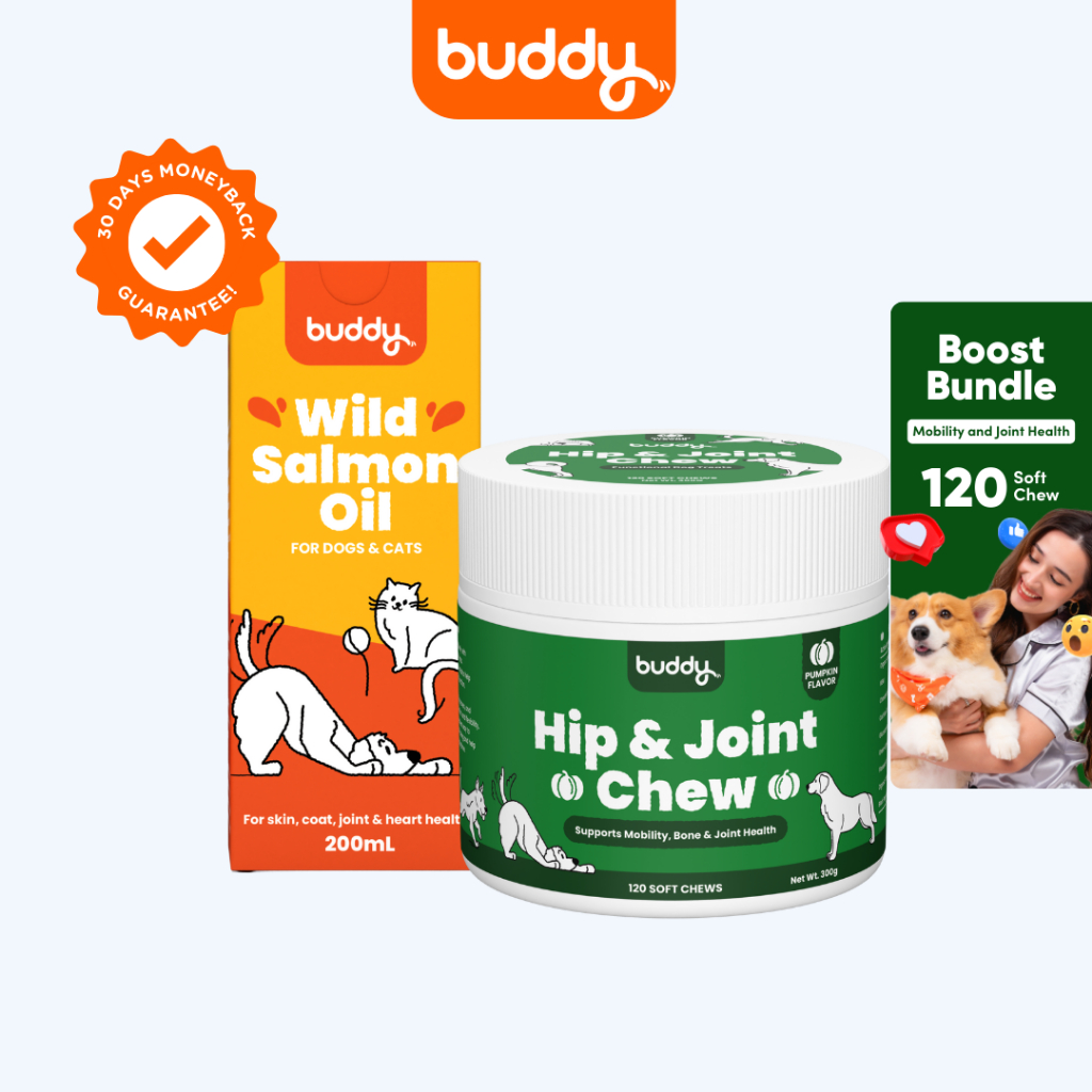 Buddy Mobility Boost Bundle for Dogs (Salmon Oil and Hip & Joint Chew ...