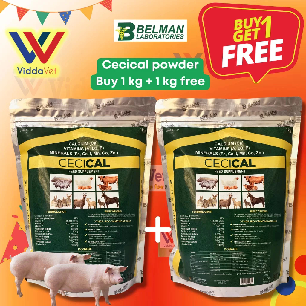 Cecical Powder for Animals 1kg – Calcium & Vitamin Supplement for ...