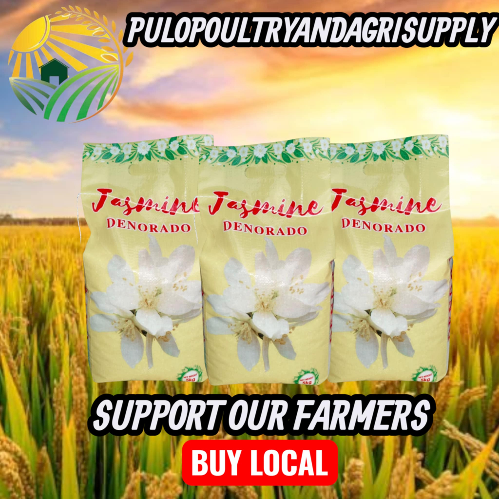 JASMINE DENORADO YELLOW, 5KG BIGAS, 5KG RICE, LOCAL RICE, BIGAS ...