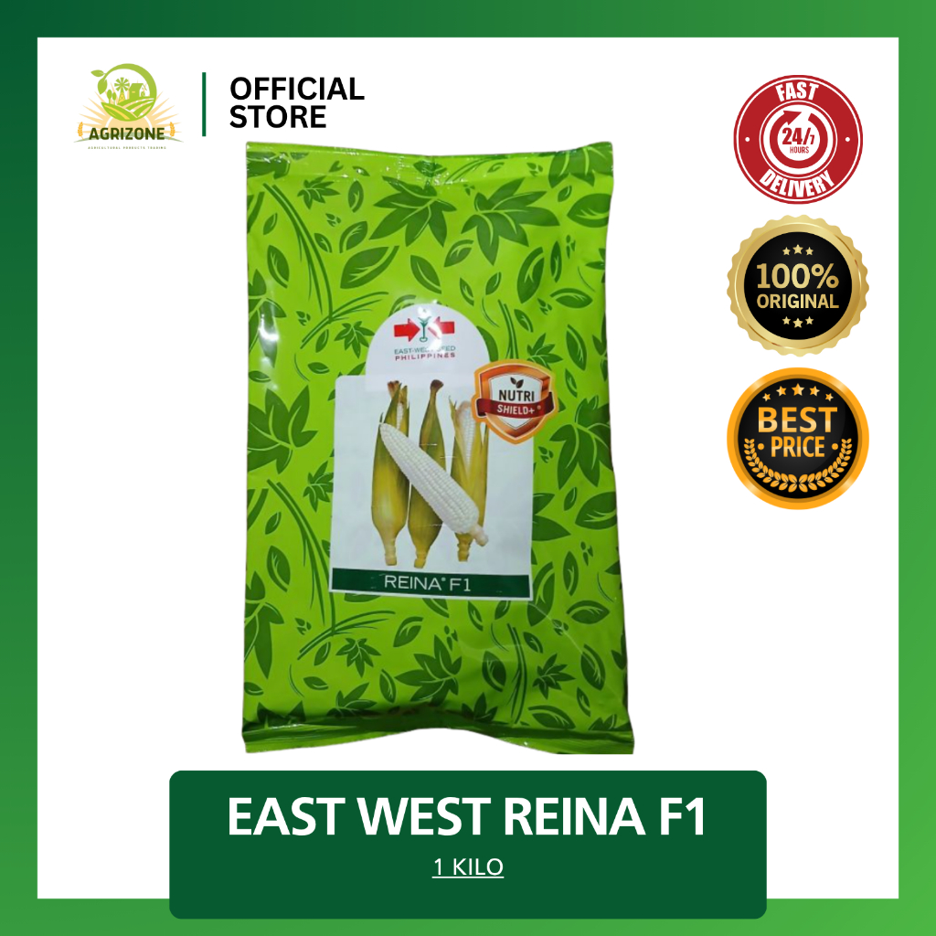 EAST WEST REINA F1 1 KILO HYBRID WAXY CORN SEEDS | Shopee Philippines