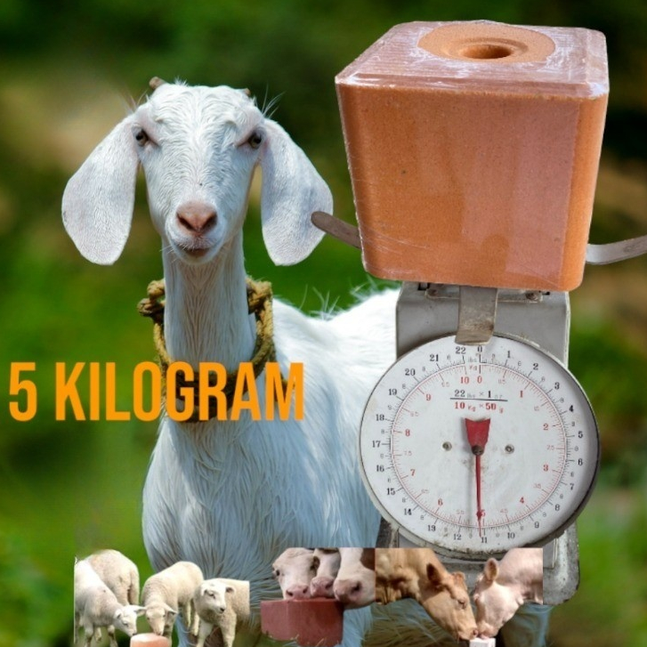 COD 5KG Himalayan Mineral Salt Block for Goat Cow Sheep Copper Block ...