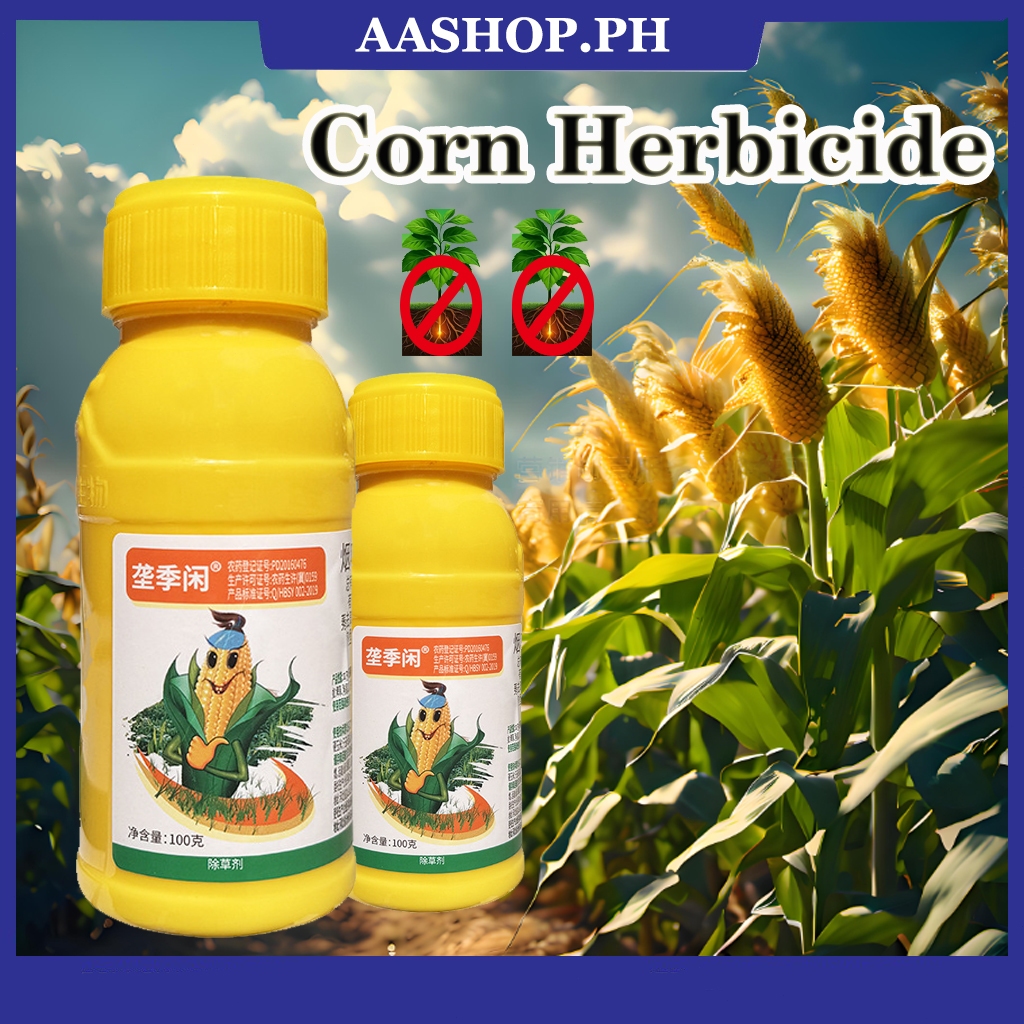 weeding for corn fields Corn herbicide no harm to seedlings universal ...