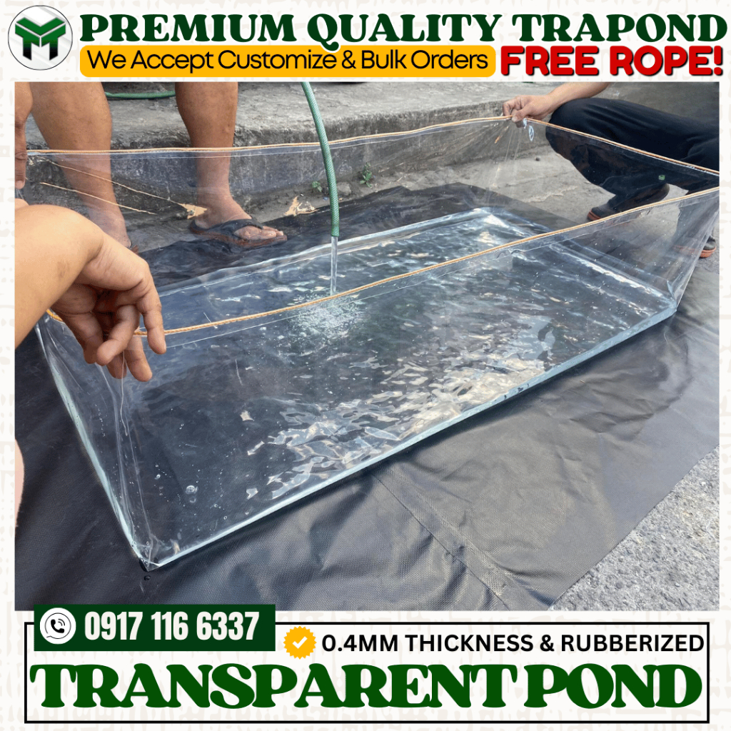 TRANSPARENT AZOLLA BEDS GAUGE#16 AZOLLA POND TRANSPARENT CLEAR TRAPOND ...
