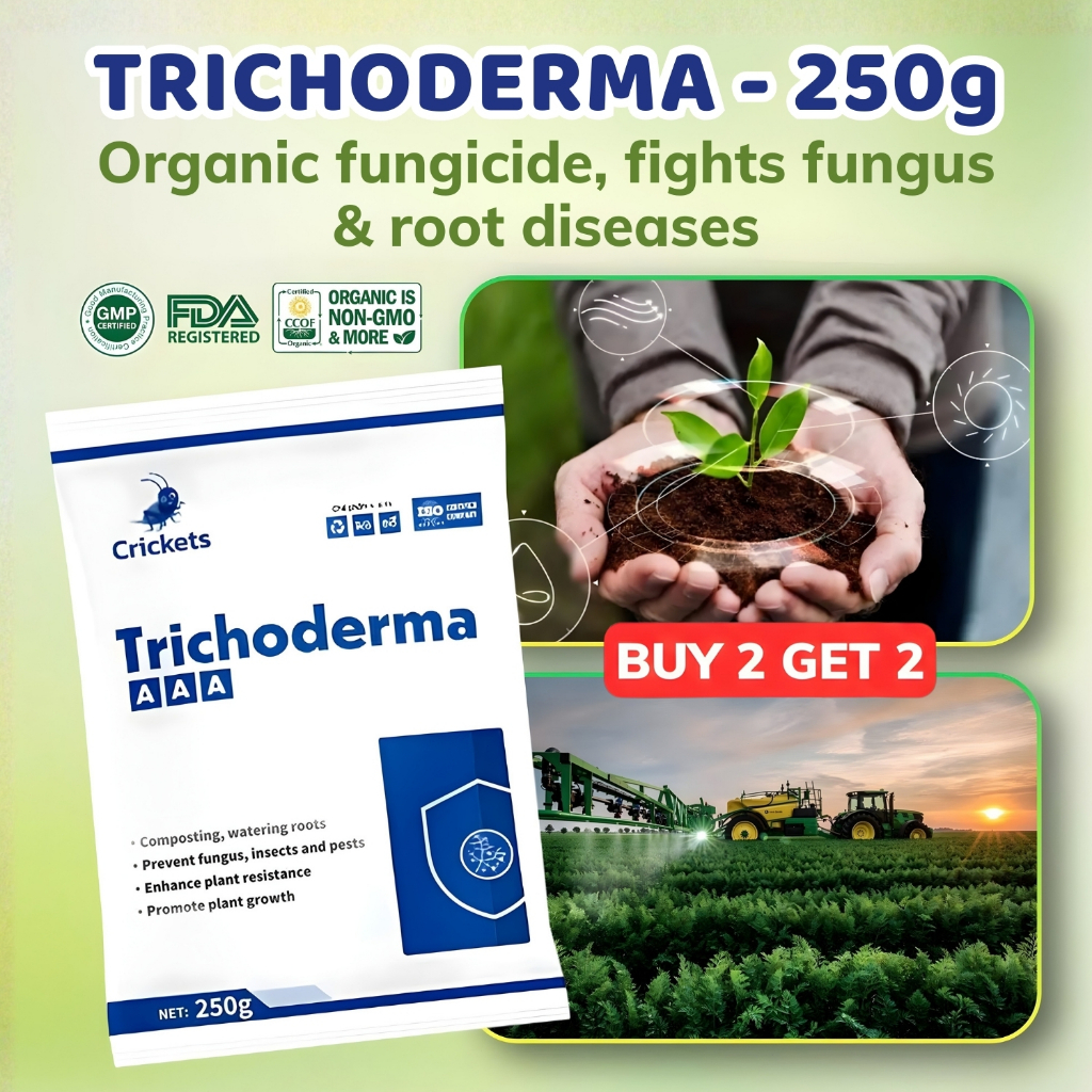 [COMBO BUY 2 GET 2] Trichoderma 250g: Bio Root Stimulator & Organic ...