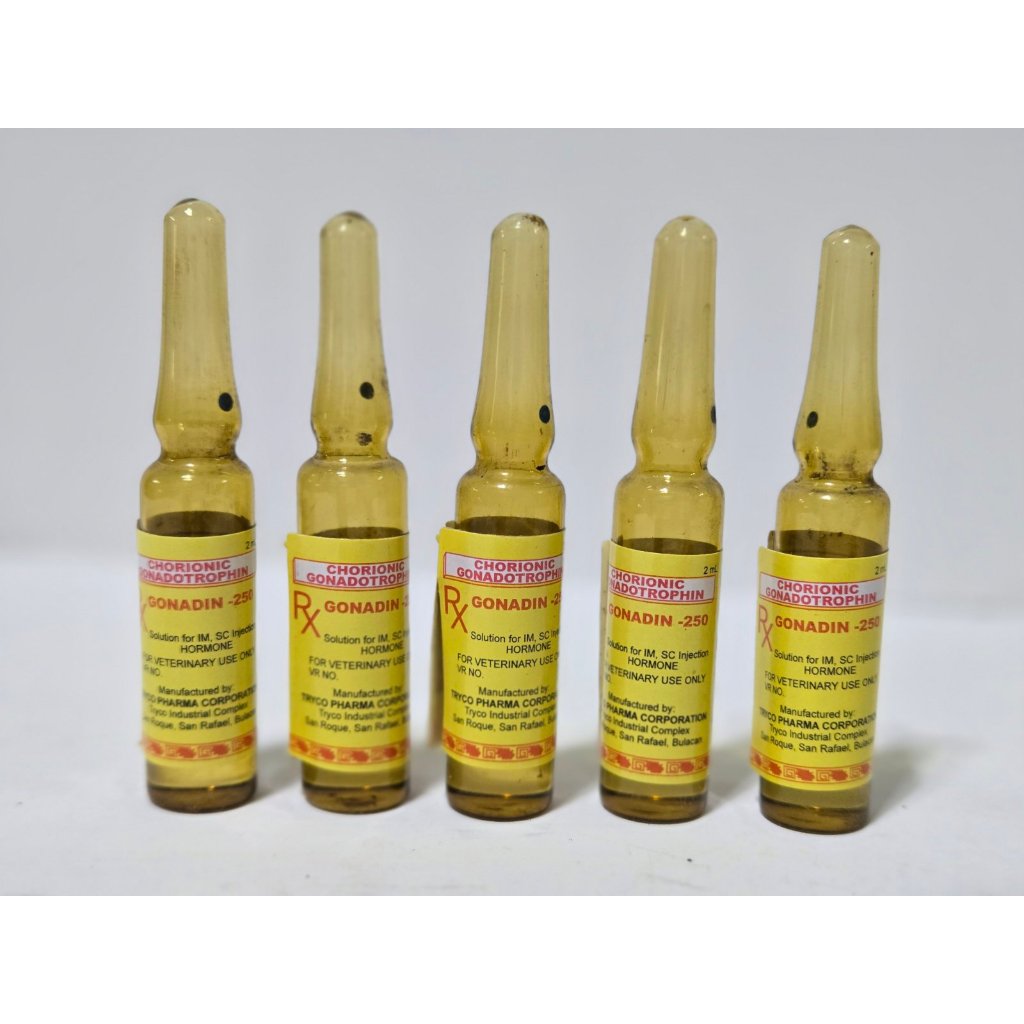 Gonadin 250 2ml Ampule | Shopee Philippines