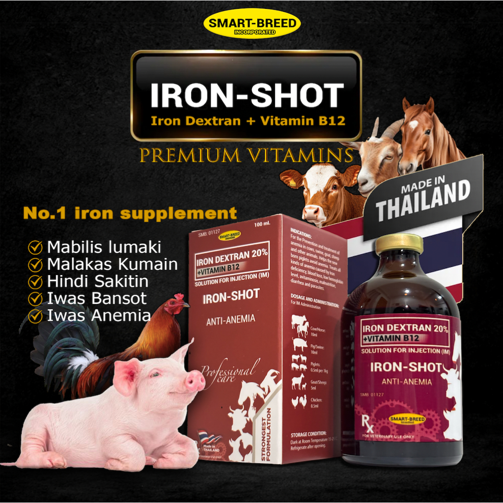 Iron Vitamins Iron shot Iron Dextran Jectran anti anemia 100ML (Product ...