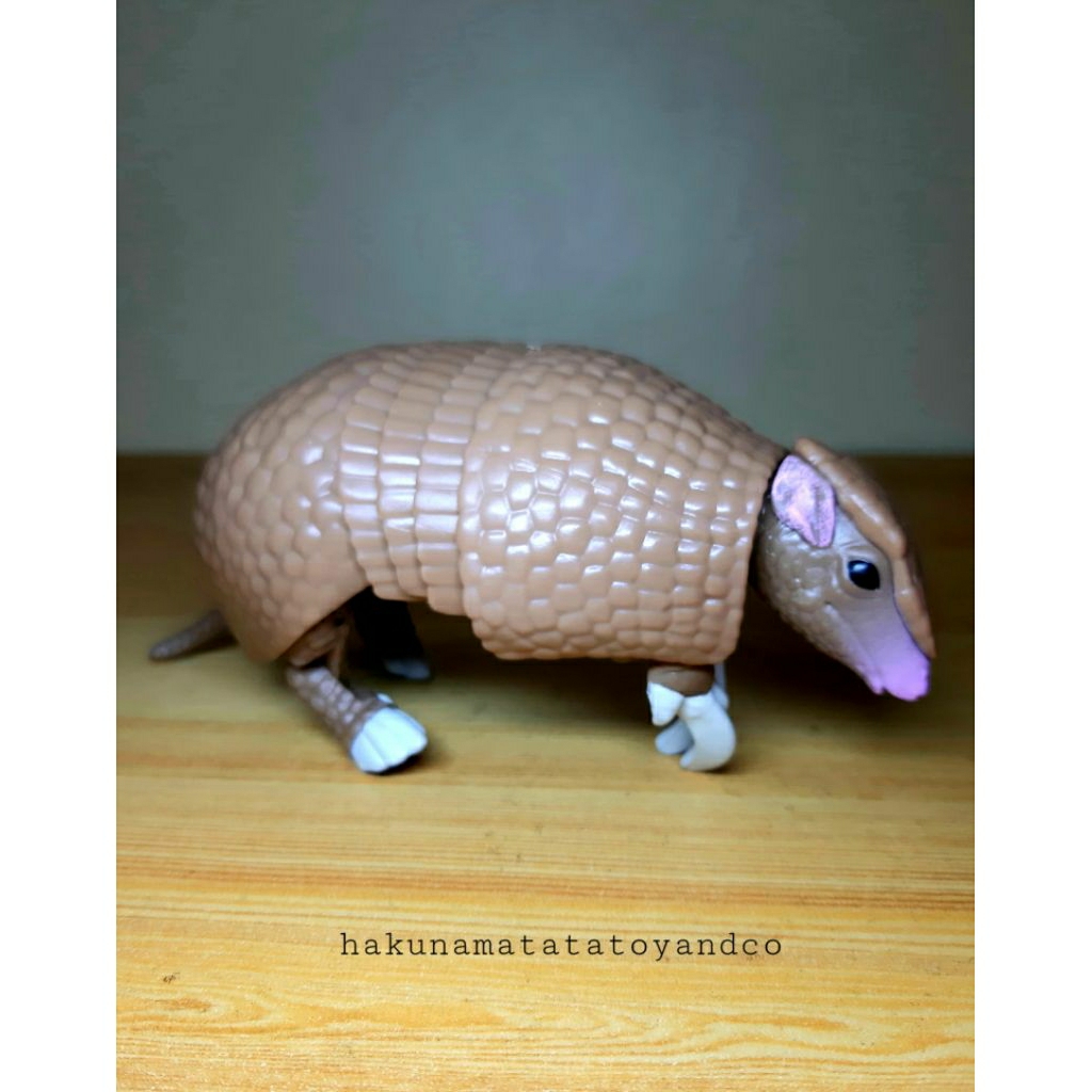 Dango Mushi Armadillo Pill Bug Figure 8 Living Creatures Encyclopedia ...