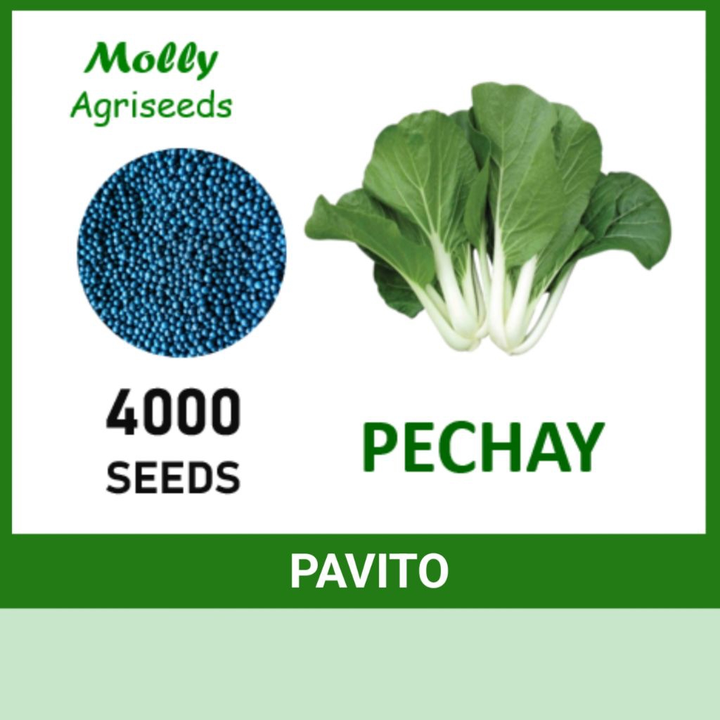 Shop pechay seeds for Sale on Shopee Philippines
