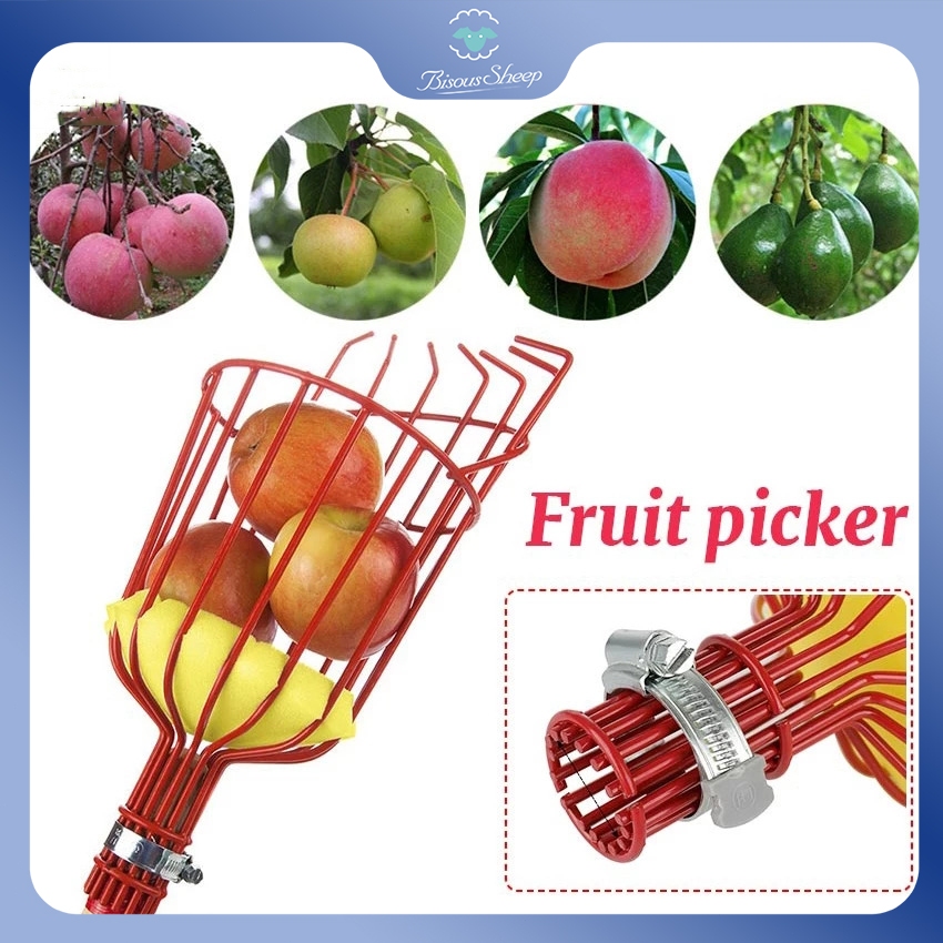 Fruit Picker Basket Catcher Picking Fresh Orange Garden Tools for Broom ...