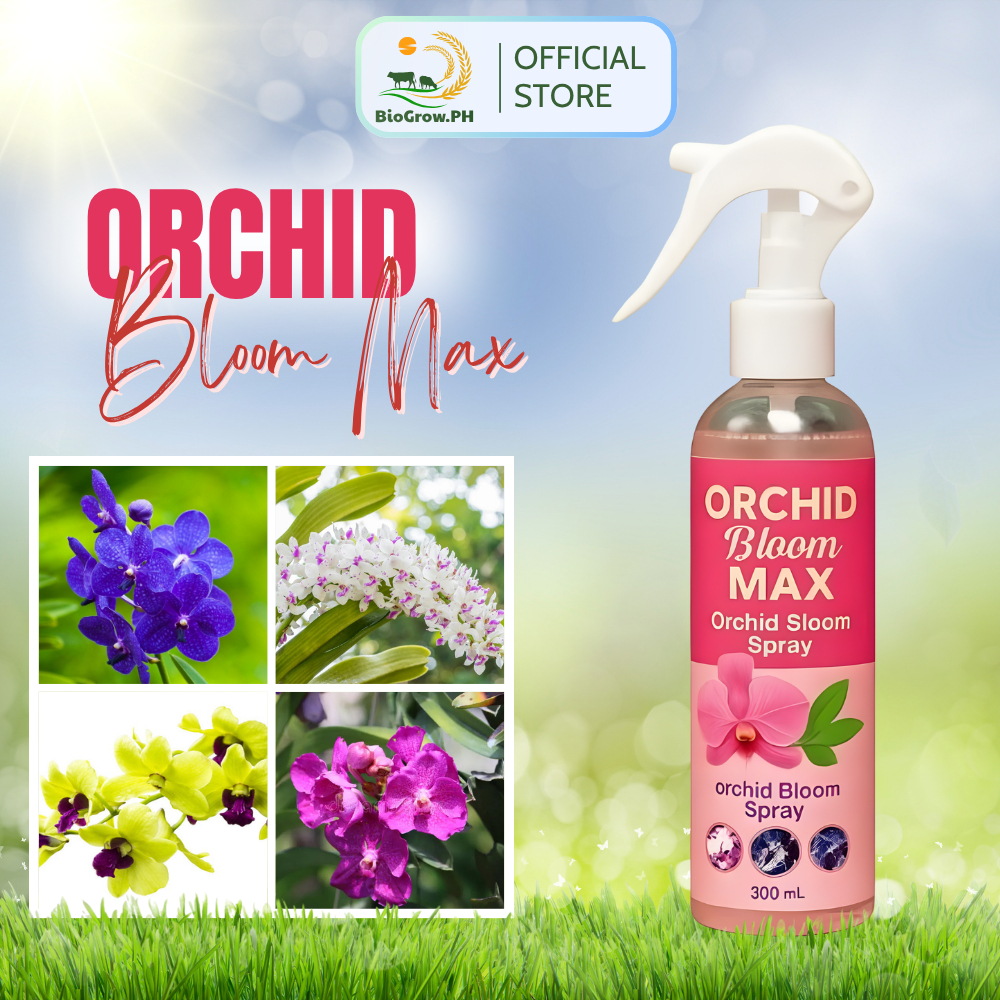 [SALE 50%] Orchid Bloom Max 250ml – Super Bloom Fertilizer for Fast ...