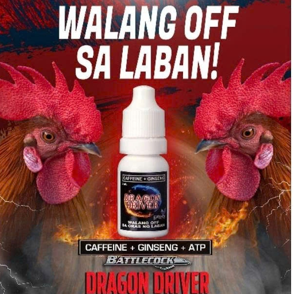 [BUY 1 GET 1] Dragon Driver Drops 10ml: Gamefowl Rooster Pre-Fight ...