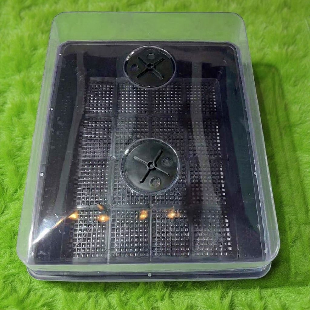 Humidity Dome Mesh Tray Organizer Set 37x30cm | Shopee Philippines