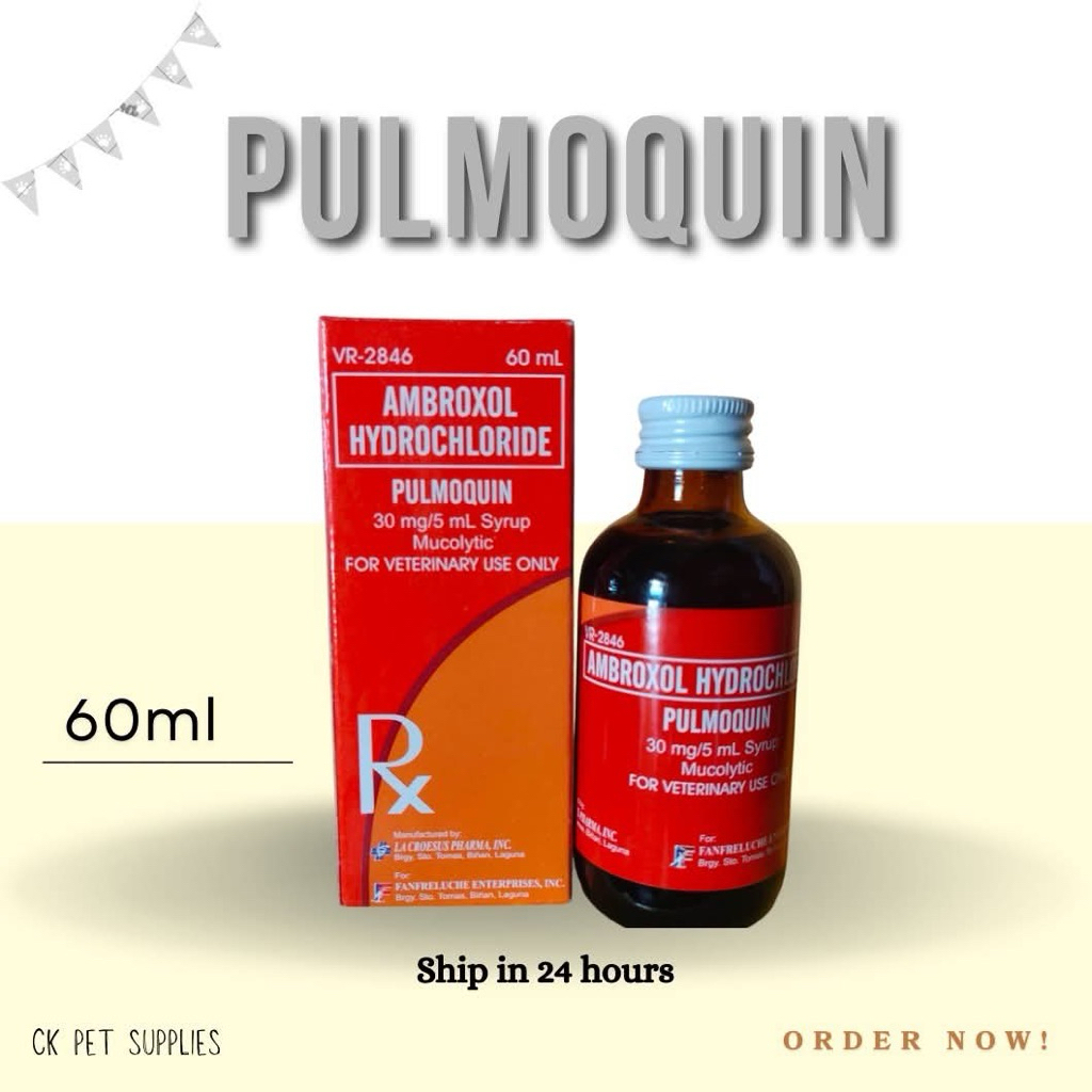 Pulmoquin 30mg/5ml - Ambroxol Hydrochloride - Mucolytic For PETS CKP ...