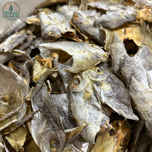 Shop dried fish danggit for Sale on Shopee Philippines