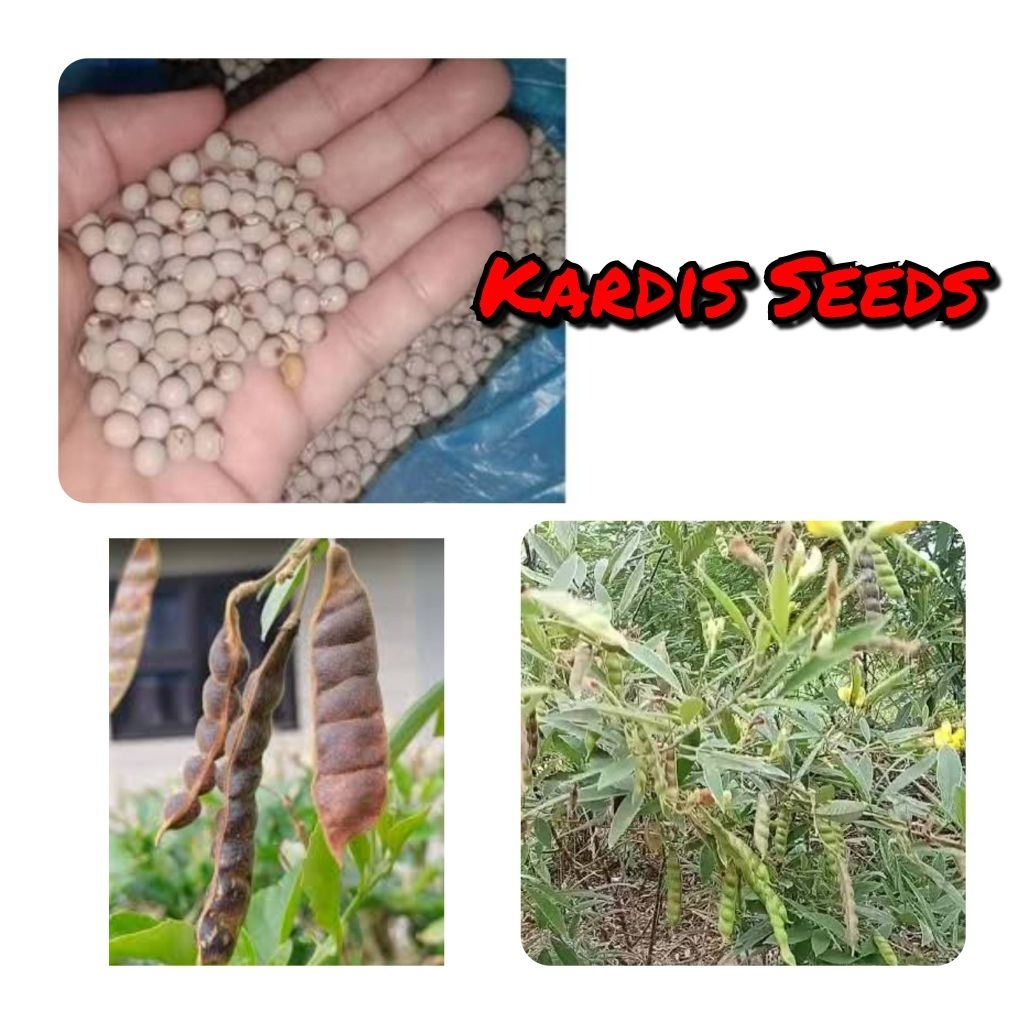 kadyos - Best Prices and Online Promos - Jun 2026 | Shopee Philippines