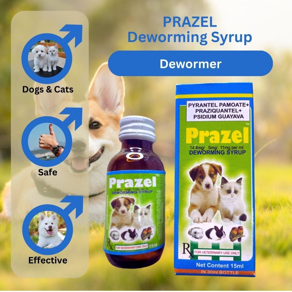 Prazel Pet Deworming Syrup for Pets | Shopee Philippines