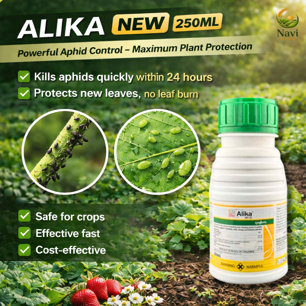 Alika Insecticide – Effective Pest Control Solution by Syngenta ...