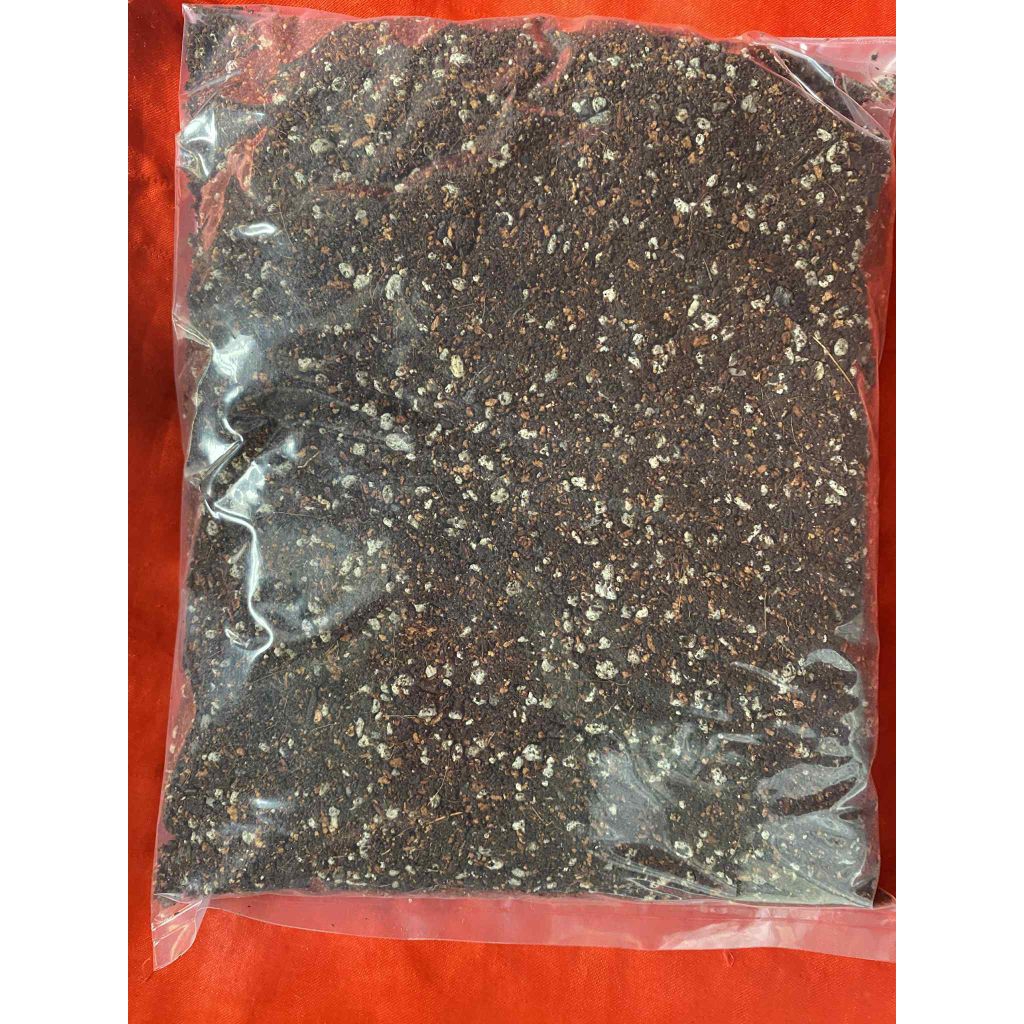 1 kilo Soilless potting mix for cactus and succulents | Shopee Philippines