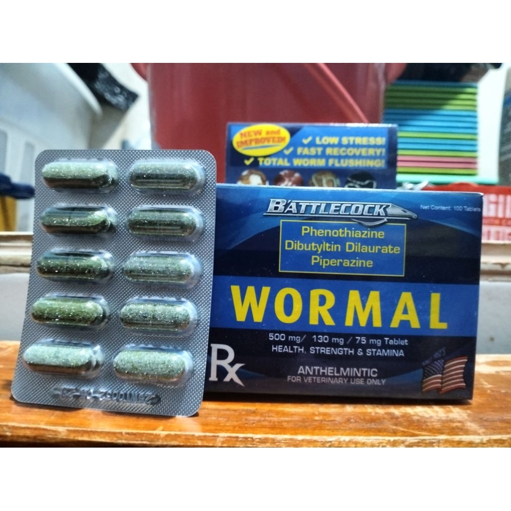 Wormal 10pcs tablet sold per banig | Shopee Philippines
