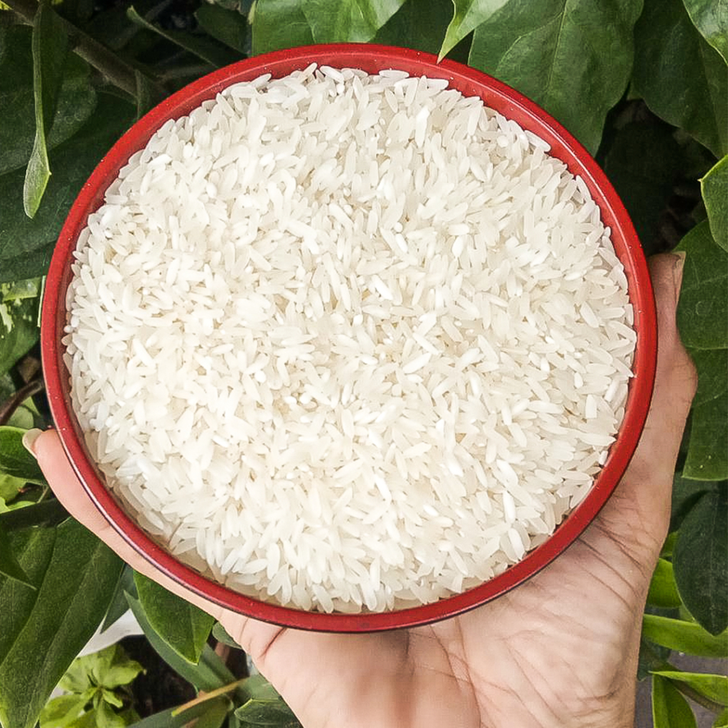 Ganador Premium Well-Milled Rice 25kg (Nationwide Shipping) | Shopee ...