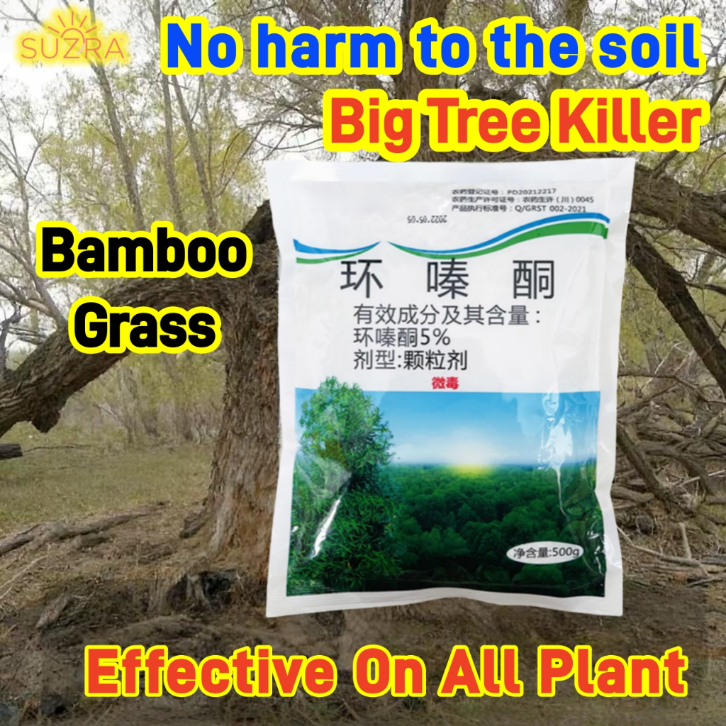 SUZRA 500G Herbicide Hexazinone Tree Bamboo Weed Grass Killer Chemical Root  Removal No Harm to Soil | Shopee Philippines