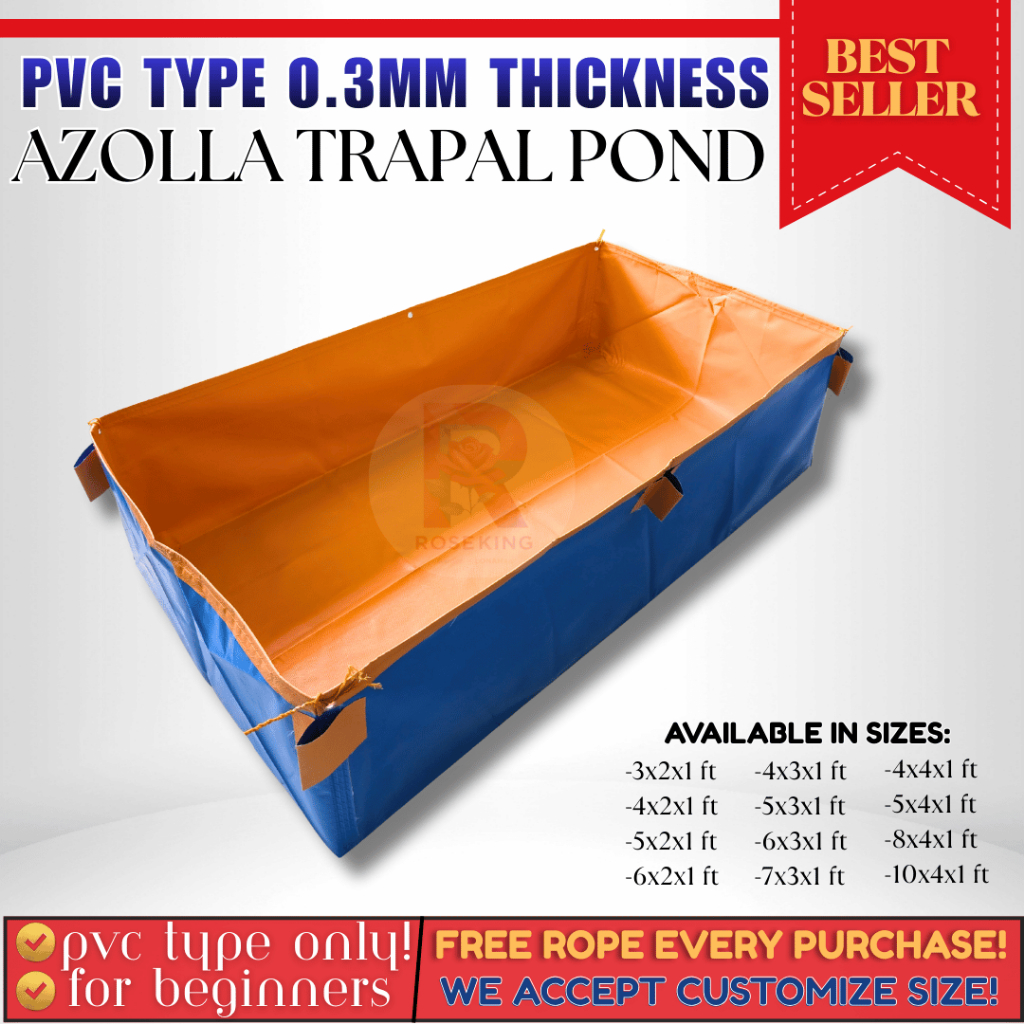 3x2x1 feet AZOLLA POND FISH TANK, CRAYFISH TANK. PANG NEGOSYO PVC HIGH ...
