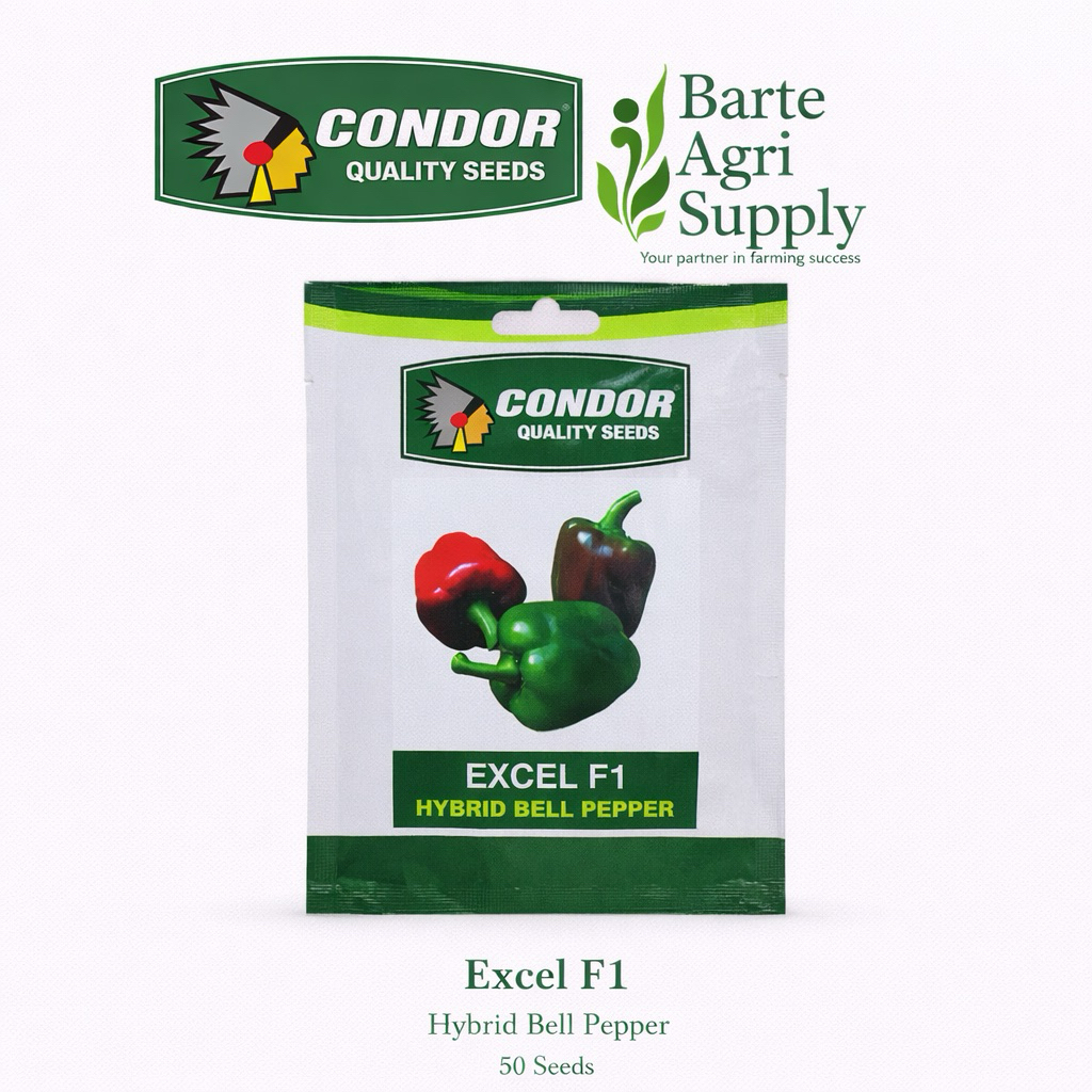 Hybrid Pepper Excel F1 Condor Sachet 50seeds | Shopee Philippines