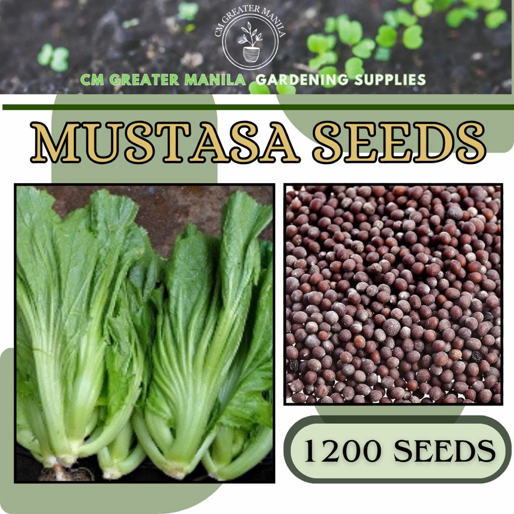 Shop mustasa for Sale on Shopee Philippines
